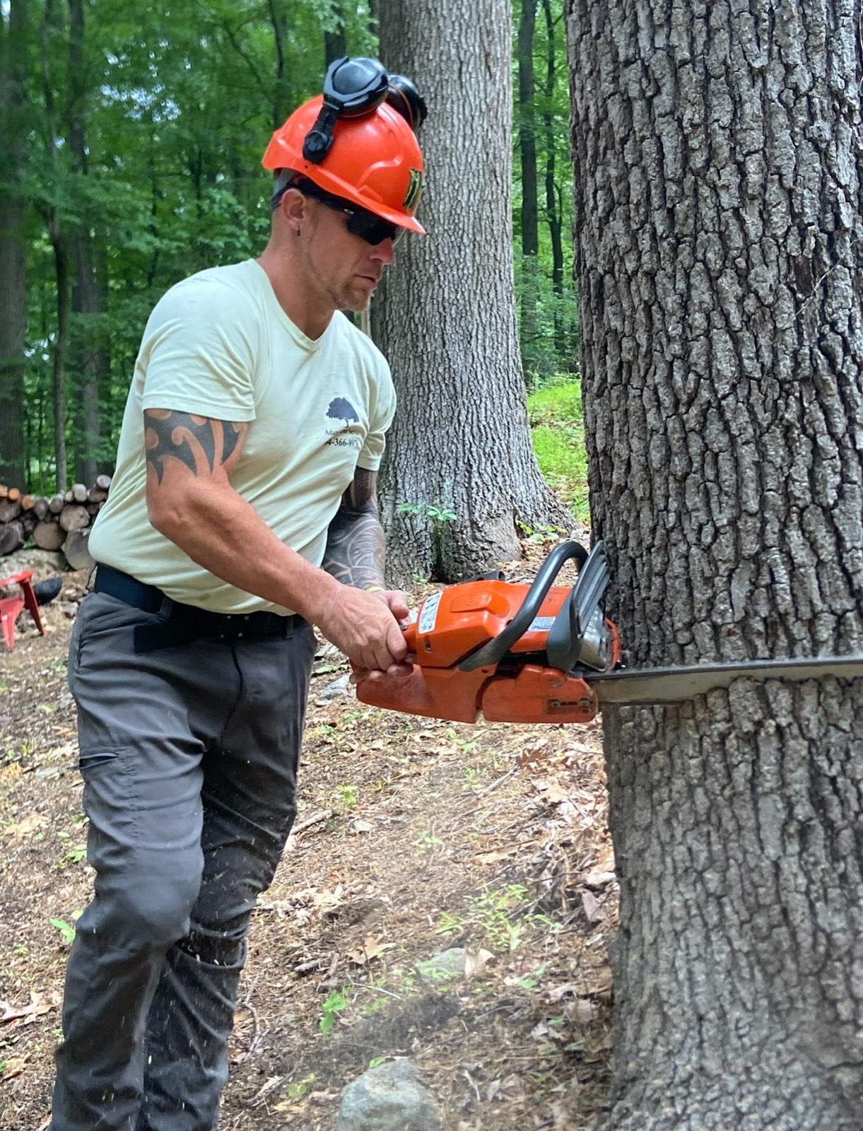 Arborist in an orange helmet cutting into a large trunk