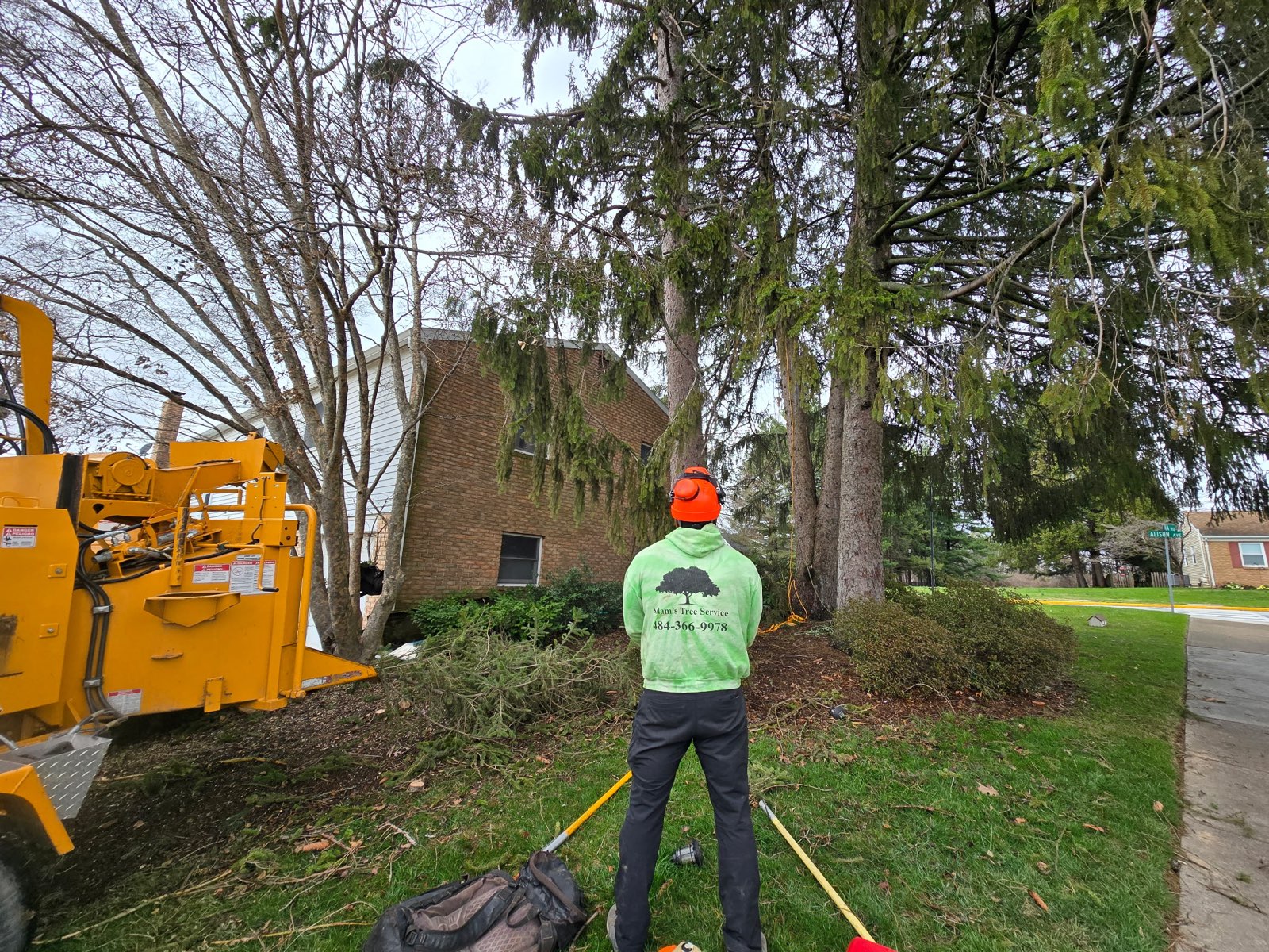 Crew member and a chipper beside tall evergreens