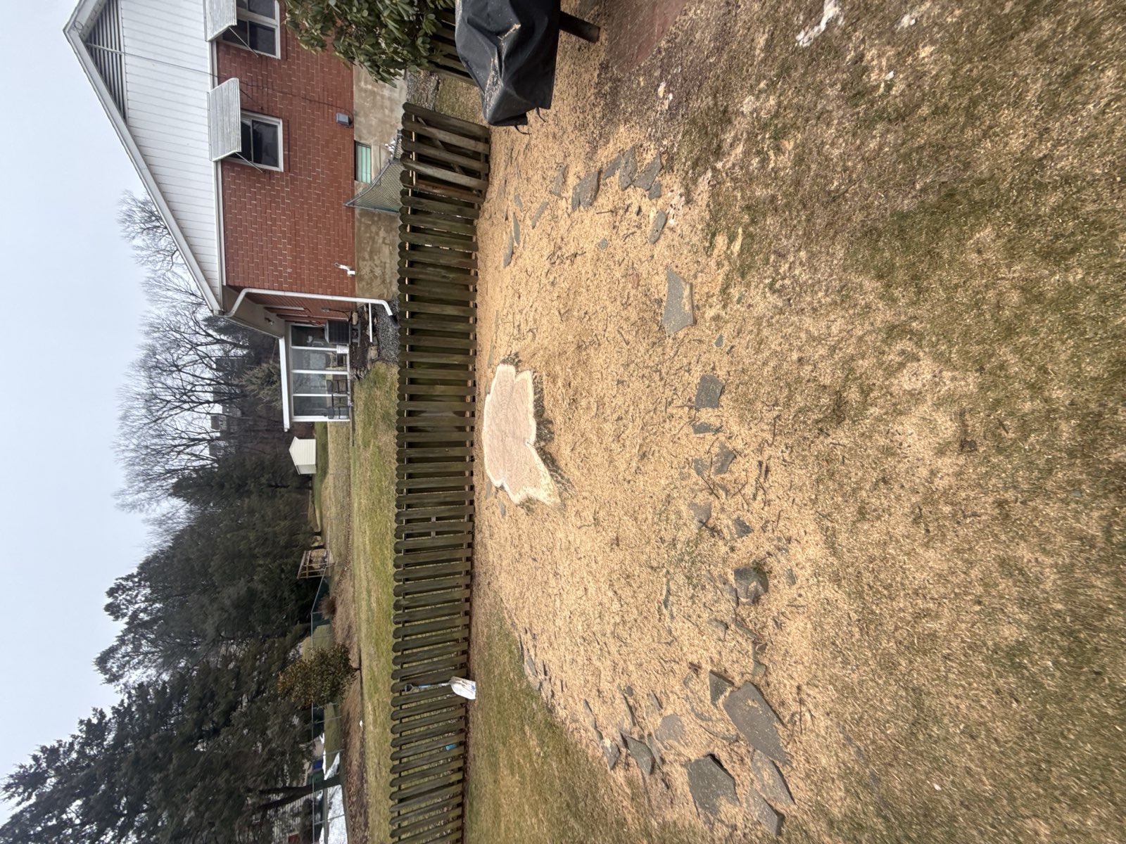 A ground stump and a ring of chips in a backyard