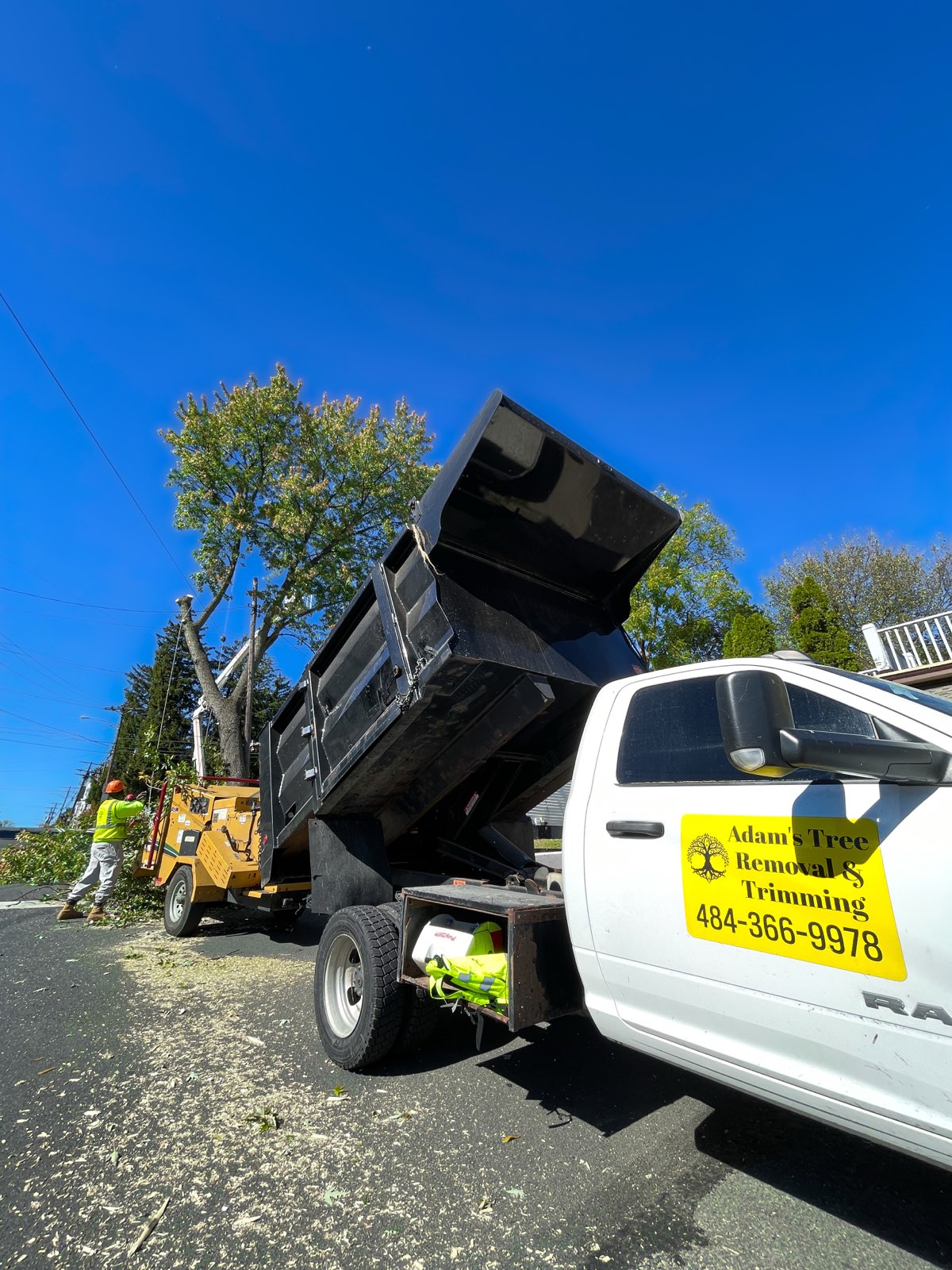 White Adam's Tree truck beside a chipper and a raised dump bed